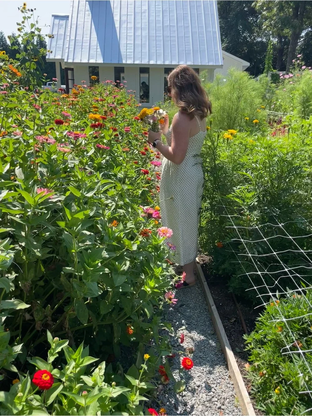 kate spade White Midi Dress with Black Polka Dots